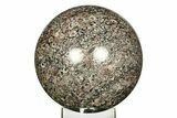 Colorful Fossil Crinoid Stems In Marble Sphere #311522-1